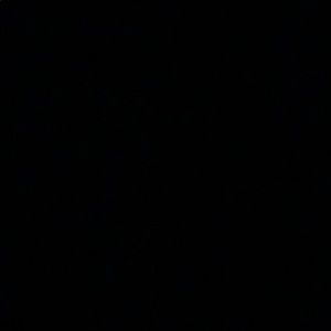 Meet your Posher, Violeta